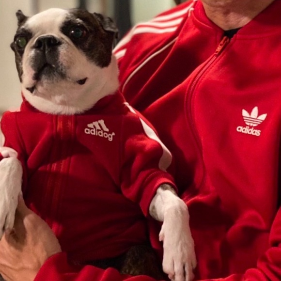 Adidog Red Hoodie - Picture 4 of 4